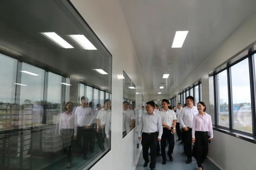 省市場監(jiān)管局局長萬鵬龍調(diào)研我市食品安全工作要求 壓實主體責(zé)任加強(qiáng)監(jiān)管力度