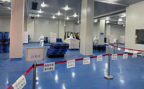 筑牢冷鏈?zhǔn)称钒踩谰€ 珠海西域碼頭開展進(jìn)口冷鏈預(yù)防性全面消毒工作